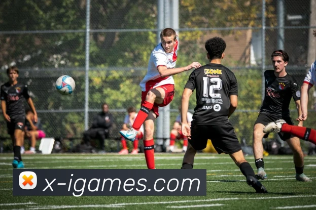 爱游戏服务体系